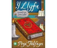 KNYGA Pegi Talfryn Cyfres Amdani: Y Llyfr