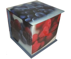 KNYGA Peony Press Memo Block: Berries