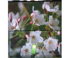 KNYGA Peony Press Memo Block Cherry Blossom