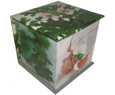 KNYGA Peony Press Memo Block: Herbs