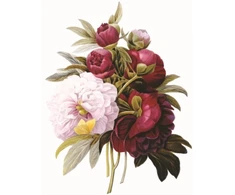 KNYGA Peony Press Memo Block: Redoute Peony