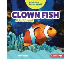 KNYGA Percy Leed Clown Fish