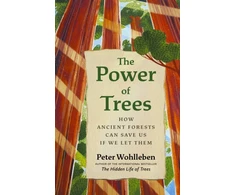 KNYGA Peter Wohlleben Power of Trees