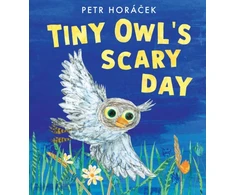 KNYGA Petr Horacek Tiny Owl's Scary Day