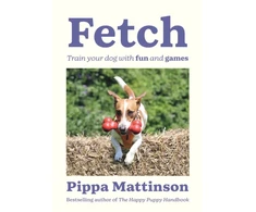KNYGA Pippa Mattinson Fetch, Train your Dog with Fun and Games