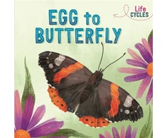 KNYGA Rachel Tonkin Life Cycles: Egg to Butterfly