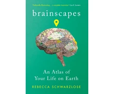 KNYGA Rebecca Schwarzlose Brainscapes