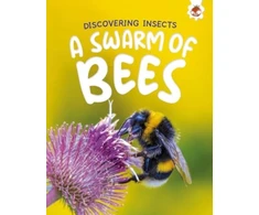 KNYGA Rebecca Storm Discovering Insects: A Swarm of Bees
