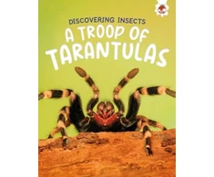 KNYGA Rebecca Storm Discovering Insects: A Troop of Tarantulas