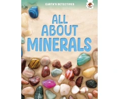 KNYGA Rebecca Storm Earth's Detectives: All About Minerals