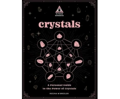KNYGA Regina M Bresler Crystals: An In Focus Workbook