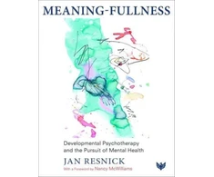 KNYGA RESNICK Meaning-Fullness