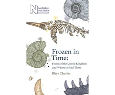 KNYGA Rhys Charles Frozen in Time