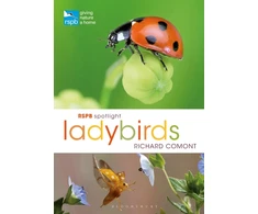 KNYGA Richard Comont RSPB Spotlight Ladybirds