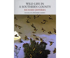 KNYGA Richard Jefferies Wild Life in a Southern County