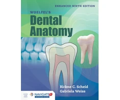 KNYGA Rickne C Scheid Woelfel's Dental Anatomy, Enhanced Edition