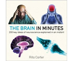 KNYGA Rita Carter The Brain in Minutes
