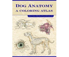KNYGA Robert A Kainer Dog Anatomy