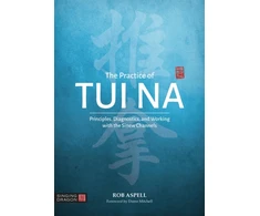 KNYGA Robert Aspell Practice of Tui Na