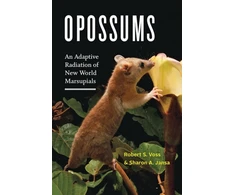 KNYGA Robert S Voss Opossums