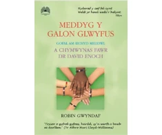 KNYGA Robin Gwyndaf Meddyg y Galon Glwyfus - Gofal am Iechyd Meddwl a Chymwynas Fawr Dr David Enoch