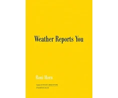 KNYGA Roni Horn: Weather Reports You (2022)