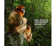 KNYGA Rosamund Kidman Cox How Wildlife Photography Became Art