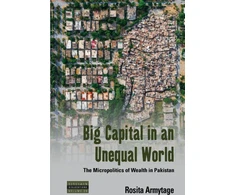 KNYGA Rosita Armytage Big Capital in an Unequal World