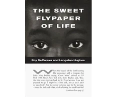 KNYGA Roy Decarava Sweet Flypaper of Life