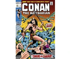 KNYGA Roy Thomas Conan The Barbarian: The Original Comics Omnibus Vol.1