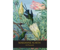 KNYGA Royal Marianne North 100 Postcards