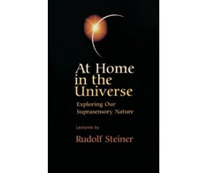 KNYGA Rudolf Steiner At Home in the Universe