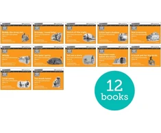 KNYGA Ruth Miskin Read Write Inc. Phonics: Oranžinis Set 4 More Juodas &amp; Baltas Storybooks (Pack of 12)