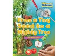 KNYGA Ruth Owen From a Tiny Seed to a Mighty Tree