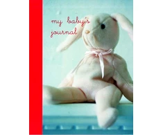 KNYGA Ryland Peters Small My Baby's Journal (Rožinė)