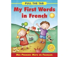 KNYGA Sally Delaney Pull the Tab: My First Words in French