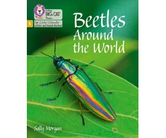 KNYGA Sally Morgan Beetles Around the World
