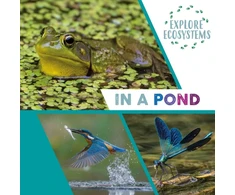 KNYGA Sarah Ridley Explore Ecosystems: In a Pond