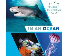 KNYGA Sarah Ridley Explore Ecosystems: In an Ocean