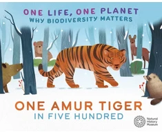KNYGA Sarah Ridley One Life, One Planet: One Amur Tiger in Five Hundred
