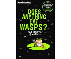 KNYGA Scientist New Does Anything Eat Wasps