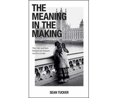 KNYGA Sean Tucker Meaning in the Making