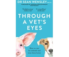 KNYGA Sean Wensley Through A Vet’s Eyes