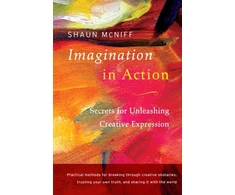 KNYGA Shaun Mcniff Imagination in Action