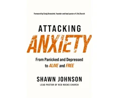 KNYGA Shawn Johnson Attacking Anxiety