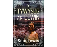 KNYGA Sian Lewis Y Tywysog a'r Dewin