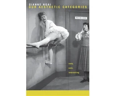 KNYGA Sianne Ngai Our Aesthetic Categories