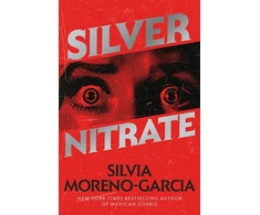 KNYGA Silvia Moreno Garcia Sidabrinis Nitrate