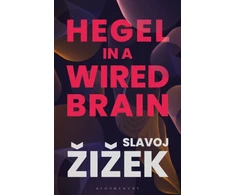 KNYGA Slavoj Zizek Hegel in A Wired Brain