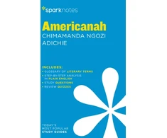 KNYGA Sparknotes Americanah by Chimamanda Ngozi Adichie
